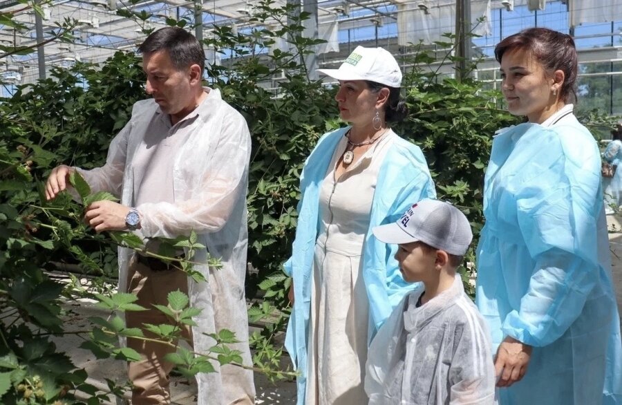 "Школа фермера": новые возможности для ветеранов СВО в агробизнесе